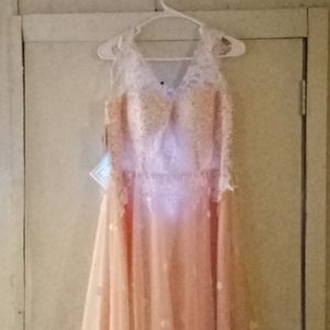 Vintage evening gown